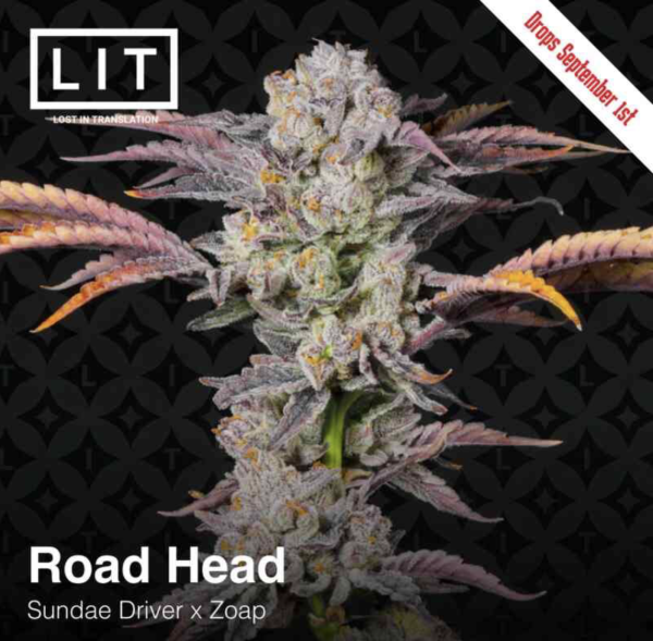 Road Head (FEM) - LIT