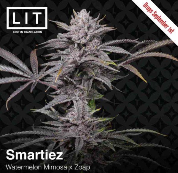 Smartiez (FEM) - LIT