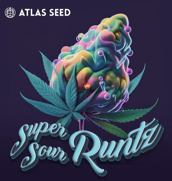 Super Sour Runtz (FEM)