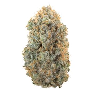 Project Skunk - (F)