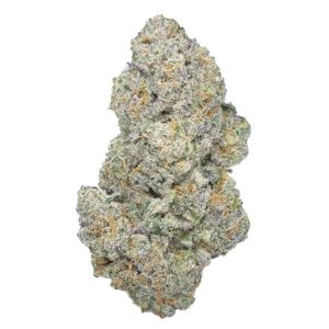 Humboldt Afghani V.2 (F)