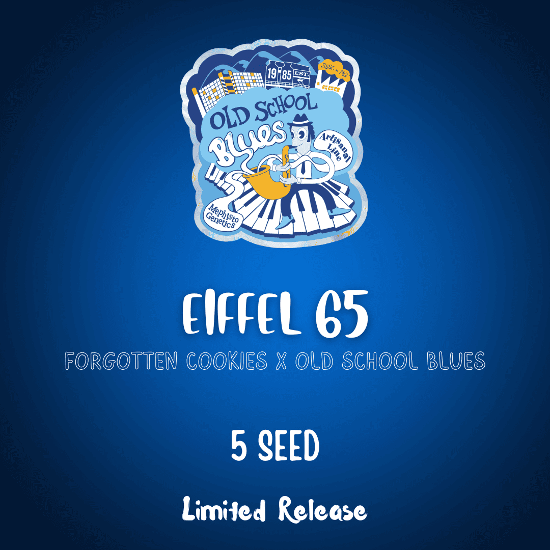 Eiffel 65 (A)