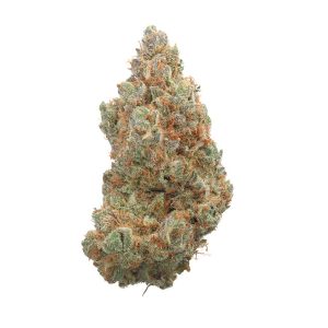 Everglades OG (A)