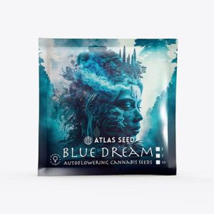 Blue Dream (A)