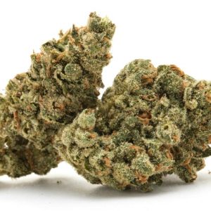 Strange Brew (F)